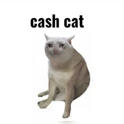 CashCat